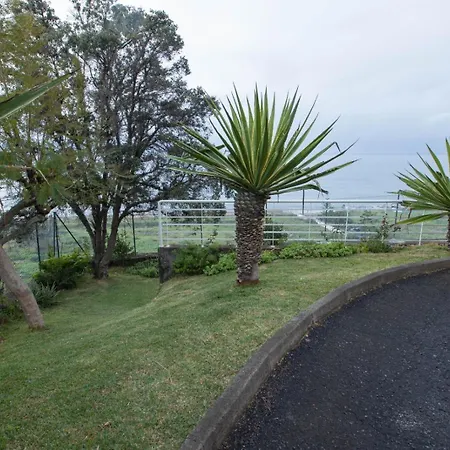 Formosa Vista Mar A 2 Minutos Da Appartement Funchal (Madeira)